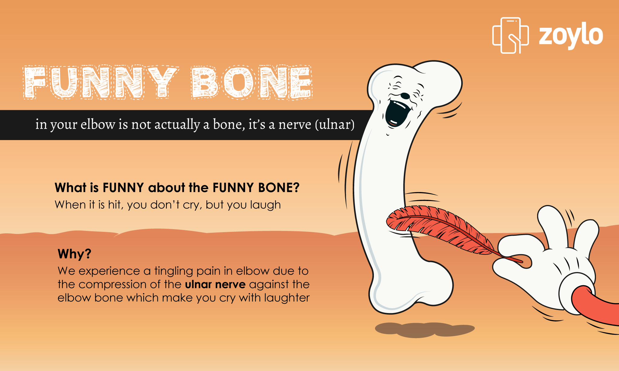 Where Is Your Funny Bone