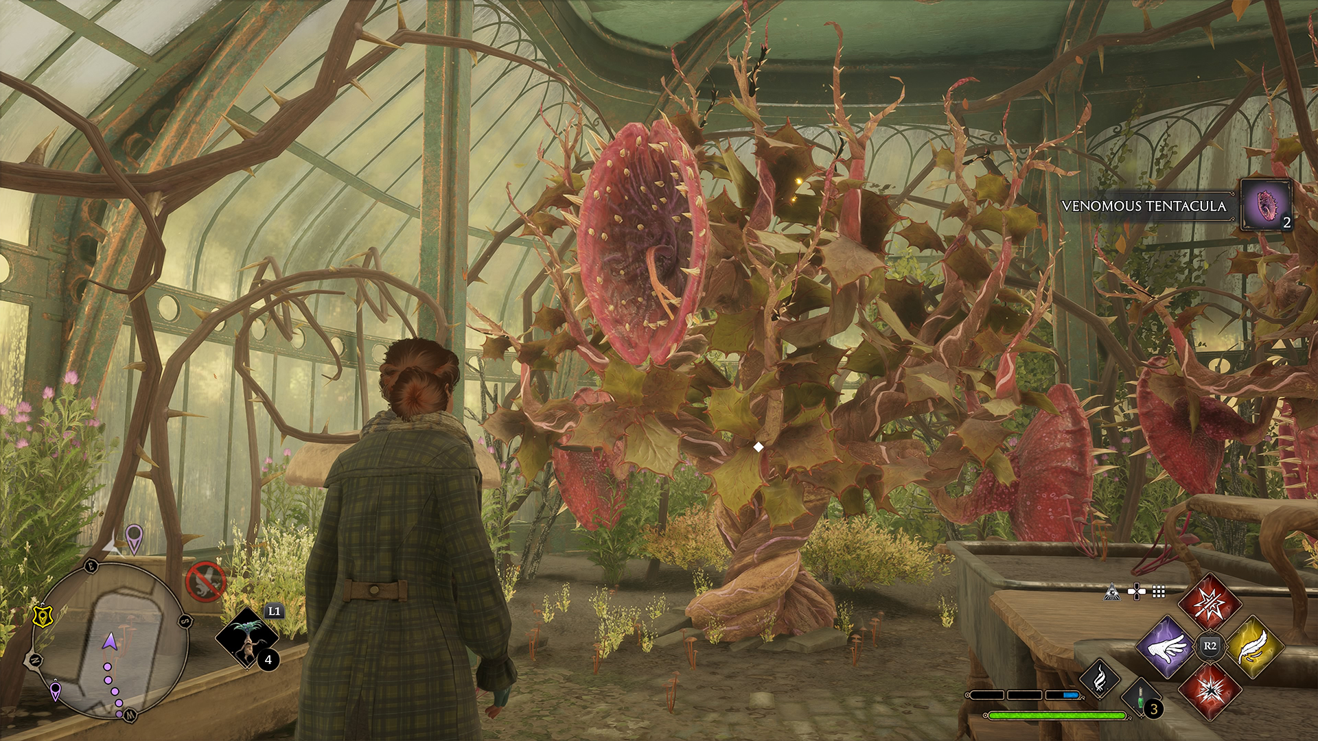 Where To Find Venomous Tentacula Hogwarts Legacy