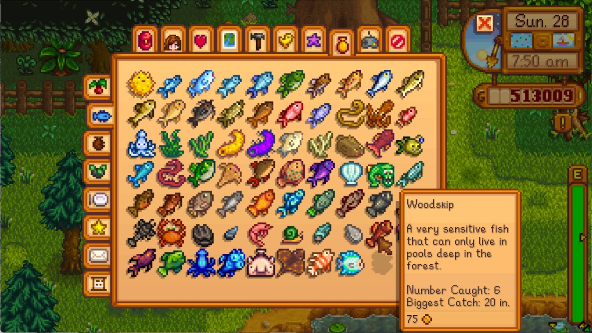 Where To Find Woodskip Stardew Valley