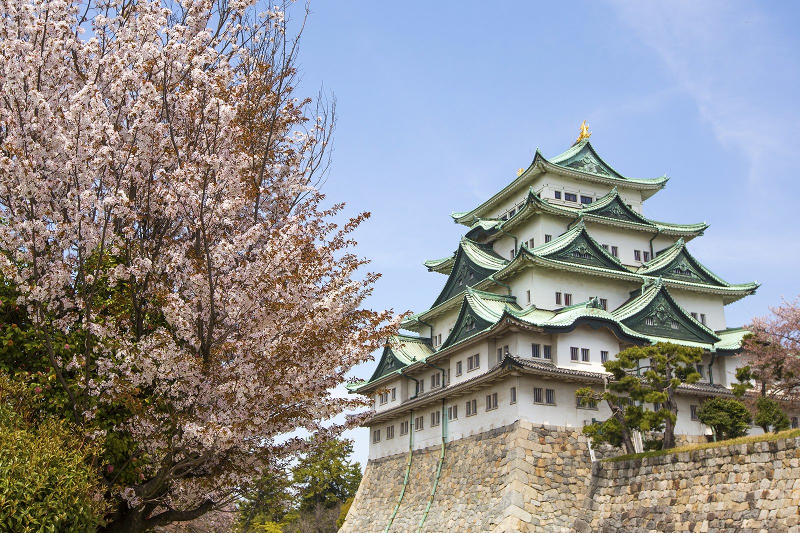 Where To Go In Nagoya