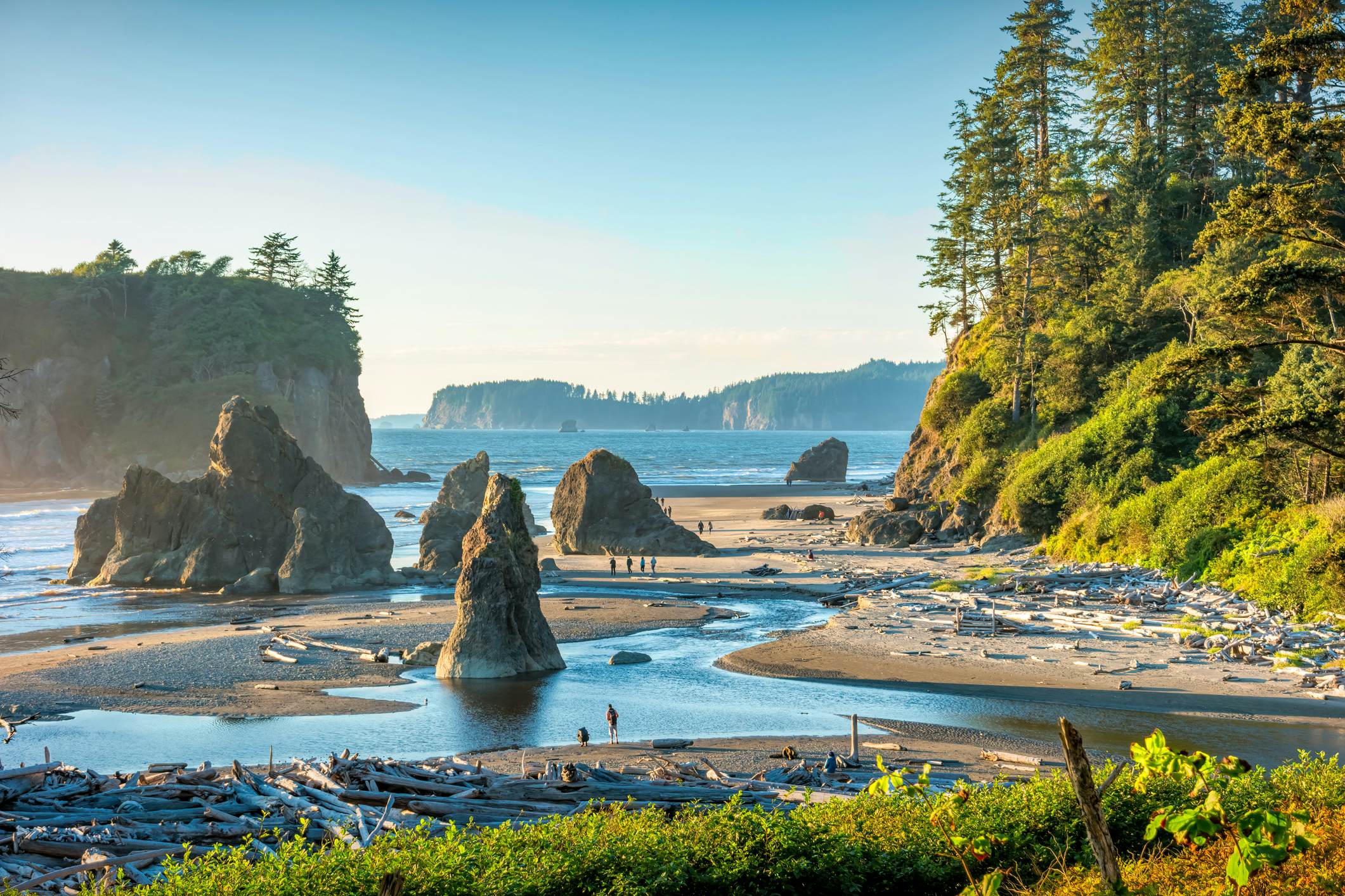 Where To Go In Olympic National Park
