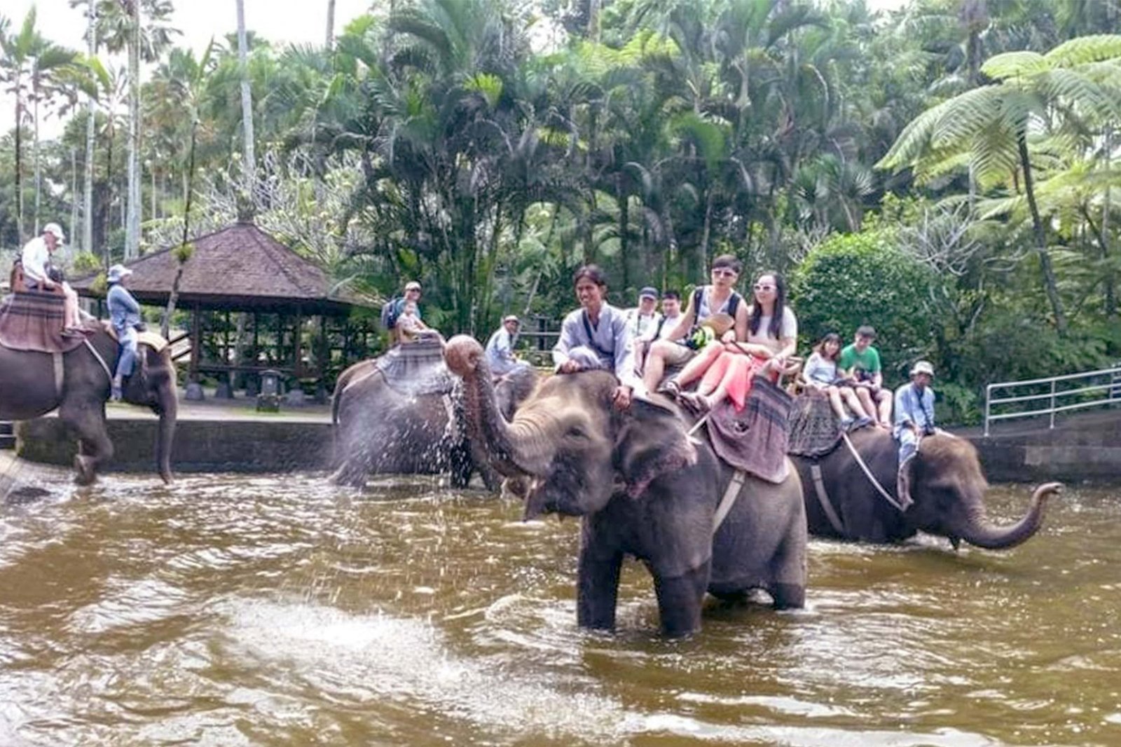 Where To See Elephants In Bali