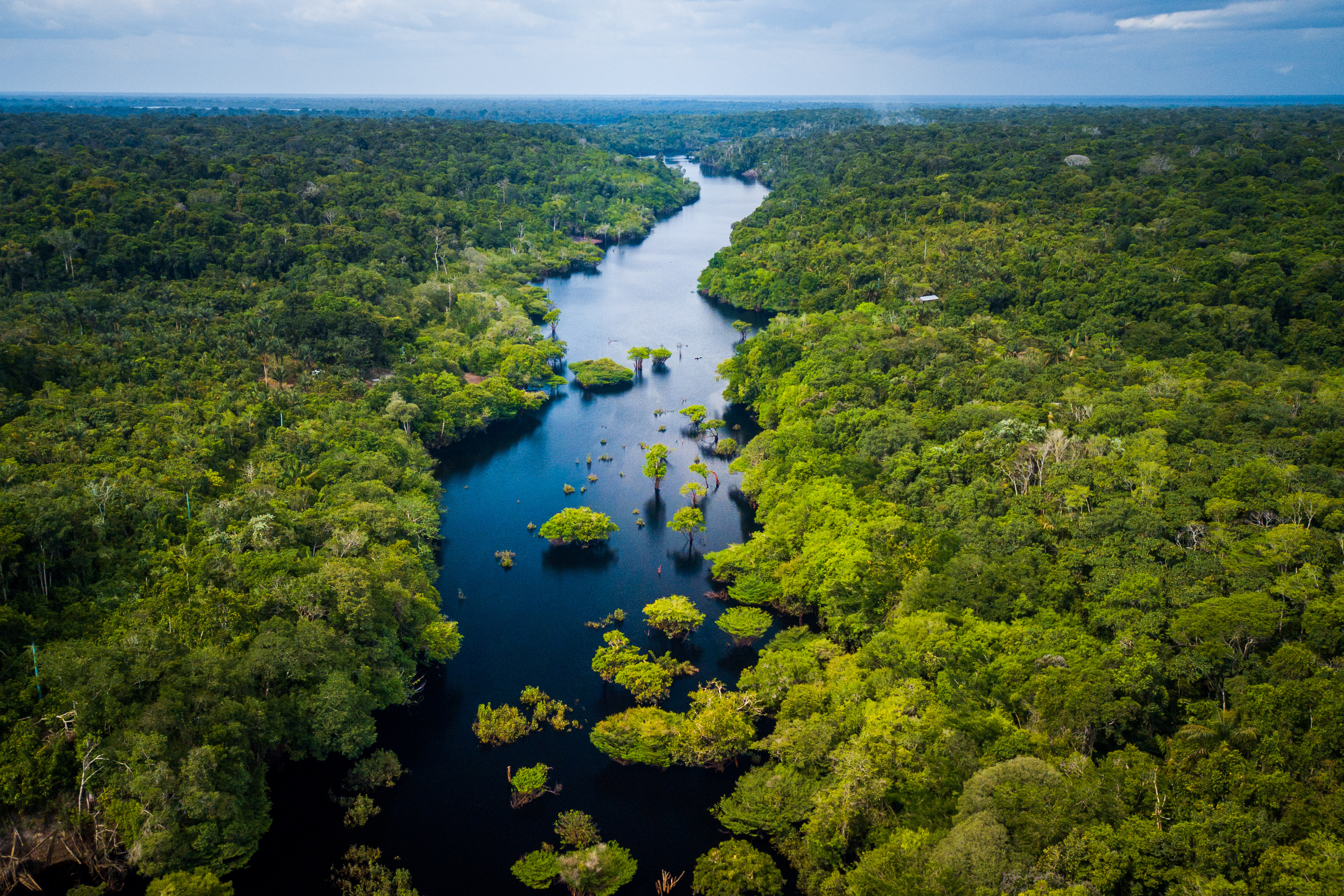 Where To Visit Rainforest