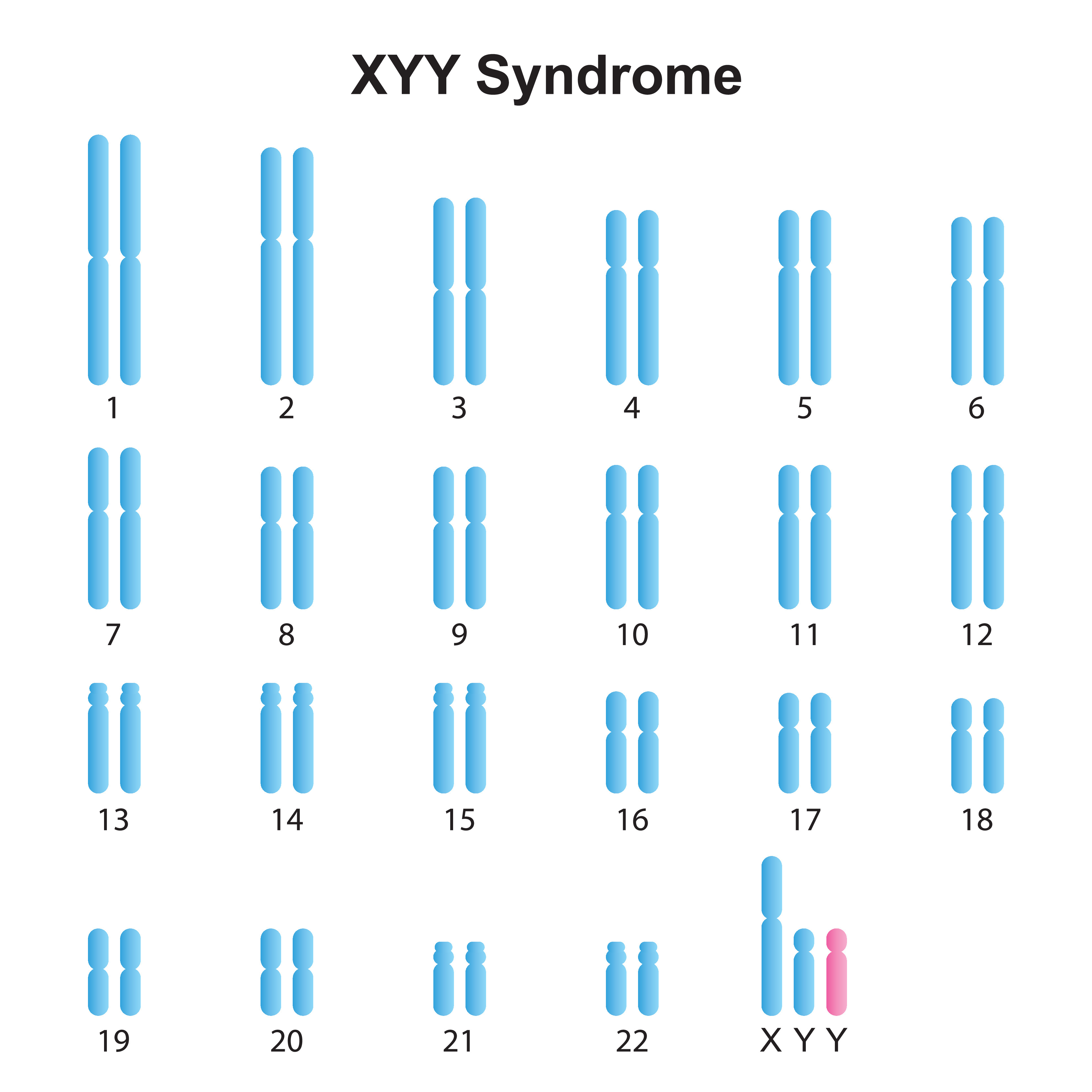 Who Discovered Xyy Syndrome