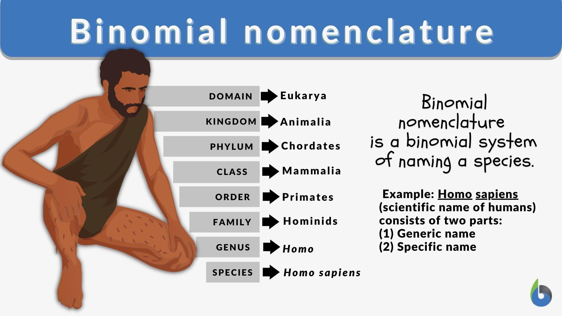 Why Is Important Binomial Nomenclature