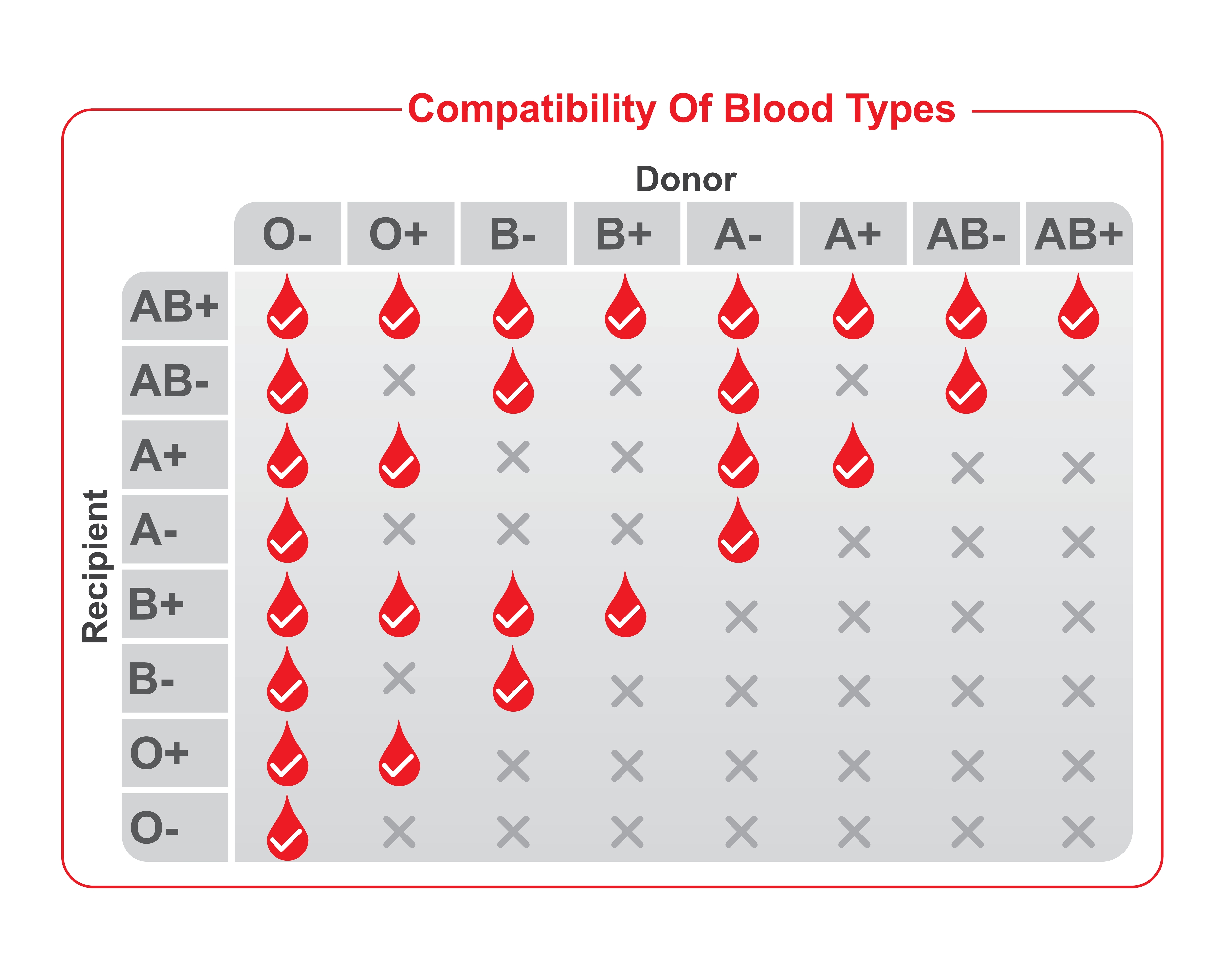Why Is O Blood Type Rare