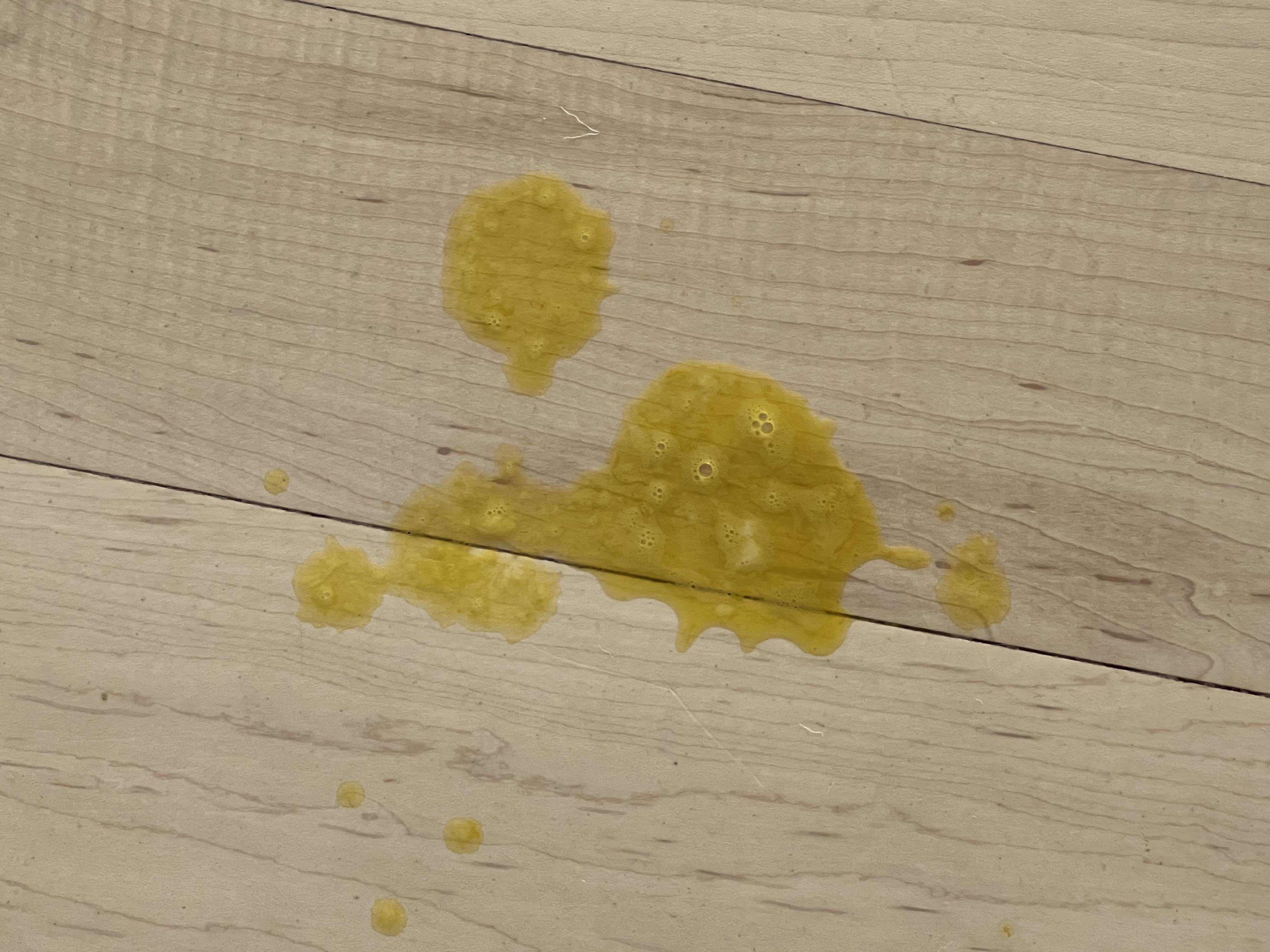 Yellow Throwing Up